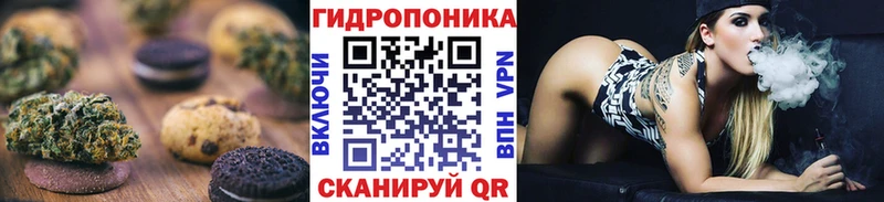 как найти закладки  Олонец  Печенье с ТГК конопля 