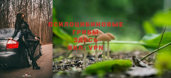 герыч Арсеньев