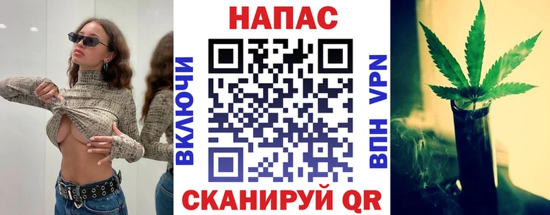 даркнет клад  Олонец  Конопля SATIVA & INDICA 